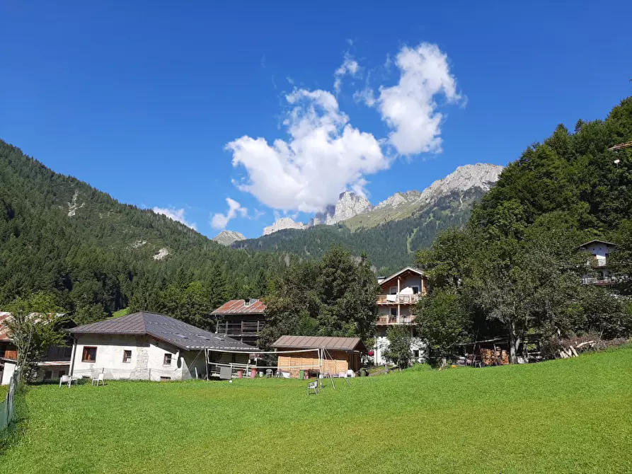 Immagine 41 di Appartamento in vendita  in Frazione Andrich a Vallada Agordina