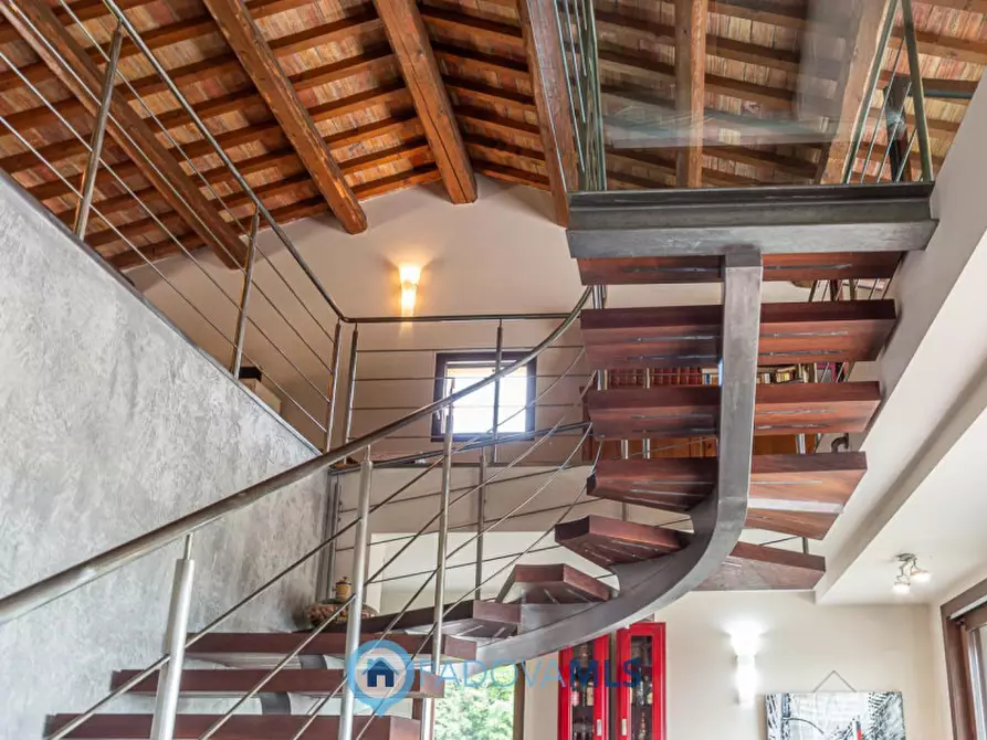 Immagine 10 di Villa in vendita  in Via Fontanelle, a Arqua' Petrarca