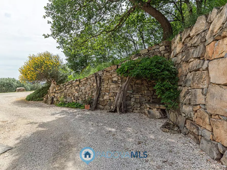 Immagine 34 di Villa in vendita  in Via Fontanelle, a Arqua' Petrarca