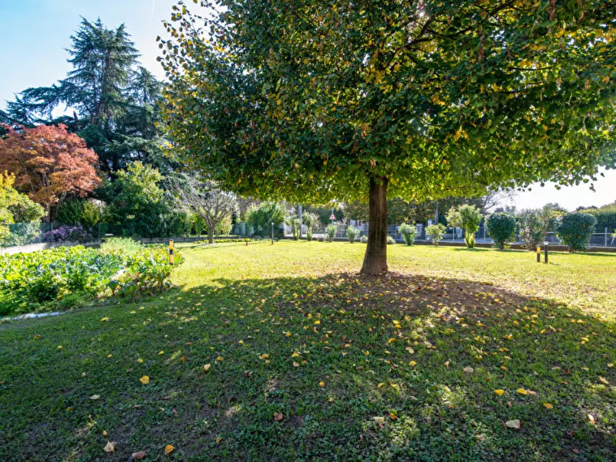 Immagine 31 di Casa indipendente in vendita  in Via Busiago 40 a Campo San Martino