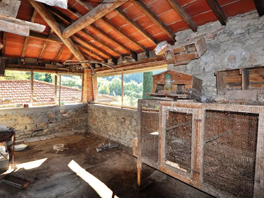 Immagine 23 di Casa indipendente in vendita  in Gello Biscardo a Castiglion Fibocchi