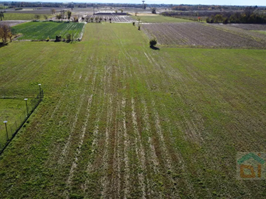 Immagine 5 di Terreno in vendita  in Via Palmova a Palmanova