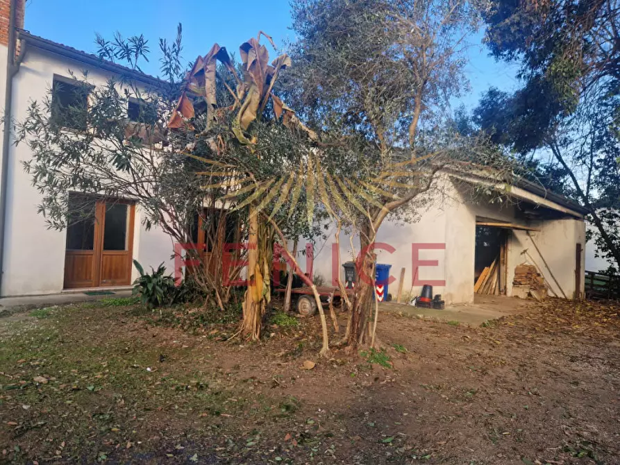 Immagine 3 di Rustico / casale in vendita  in via Solagna 35 a Trevignano