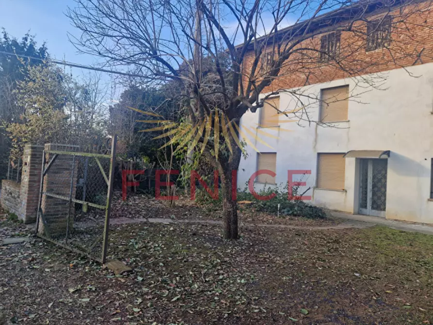 Immagine 4 di Rustico / casale in vendita  in via Solagna 35 a Trevignano