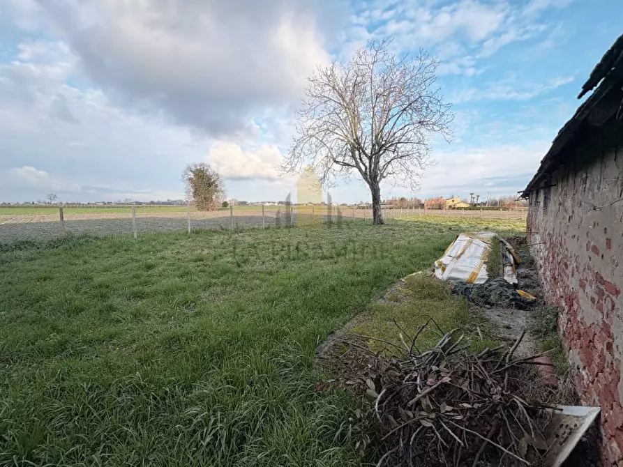 Immagine 2 di Rustico / casale in vendita  in RUSTICO STORICO BEOLO di CONSELVE RIF 513 a Conselve