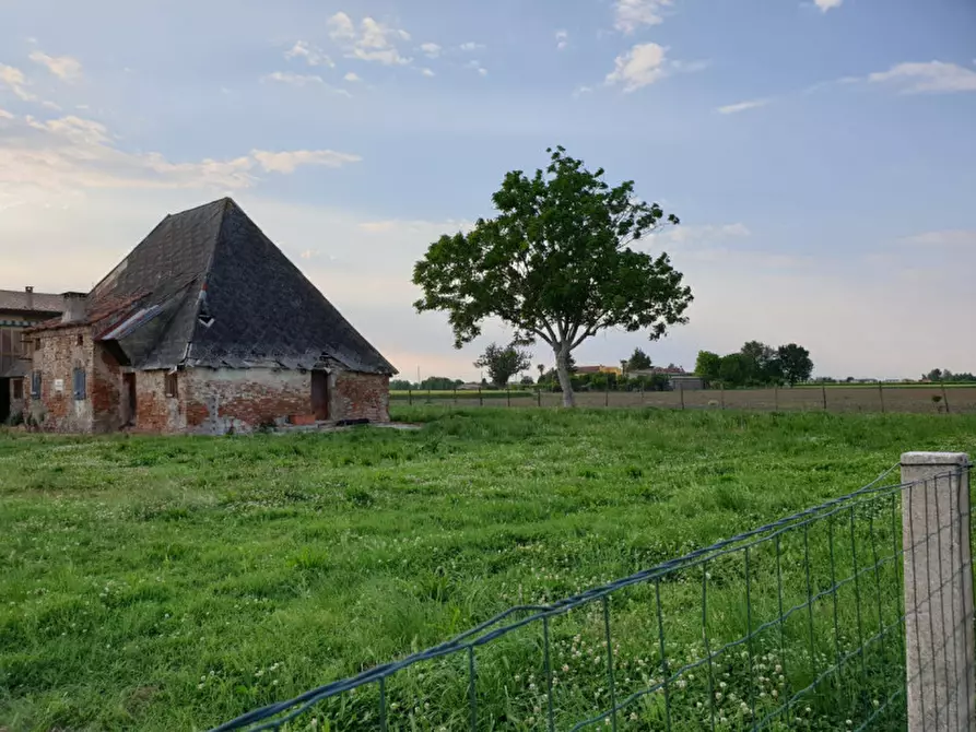 Immagine 3 di Rustico / casale in vendita  in Conselve RIF 513 a Conselve