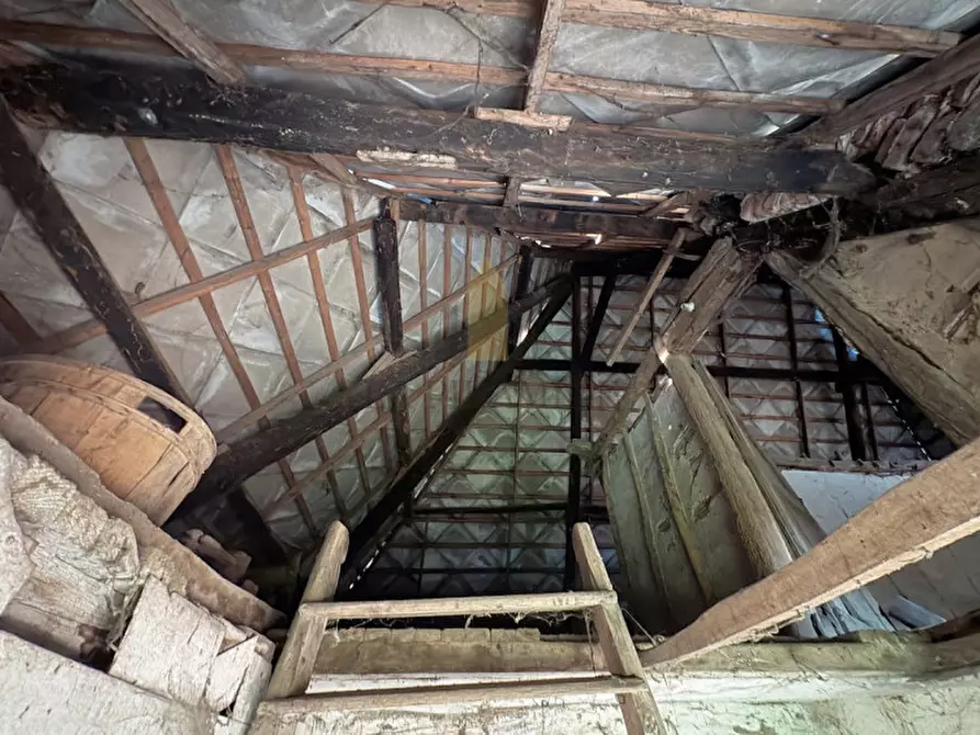 Immagine 12 di Rustico / casale in vendita  in RUSTICO STORICO BEOLO di CONSELVE RIF 513 a Conselve