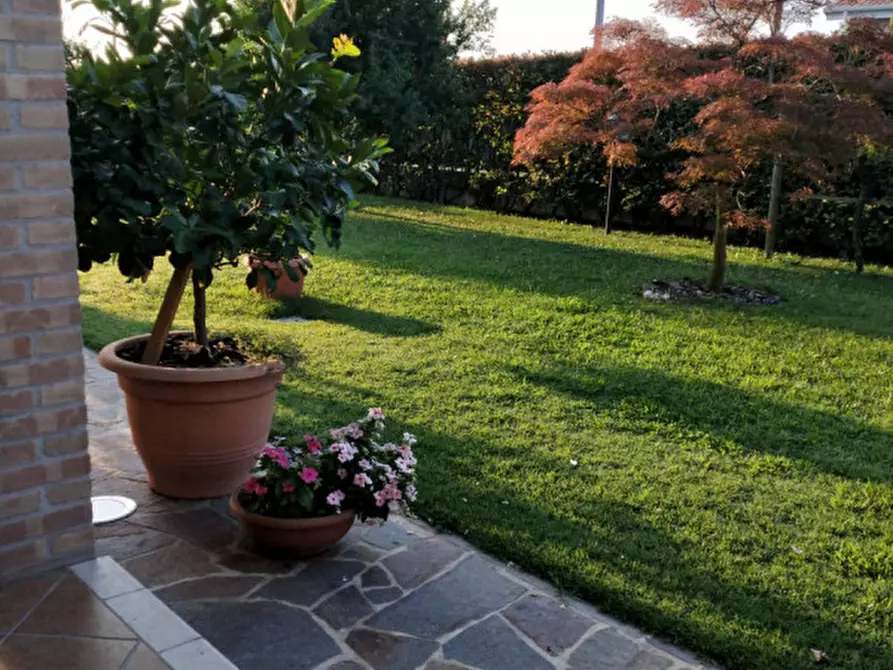 Immagine 23 di Villa in vendita  in Codevigo a Codevigo
