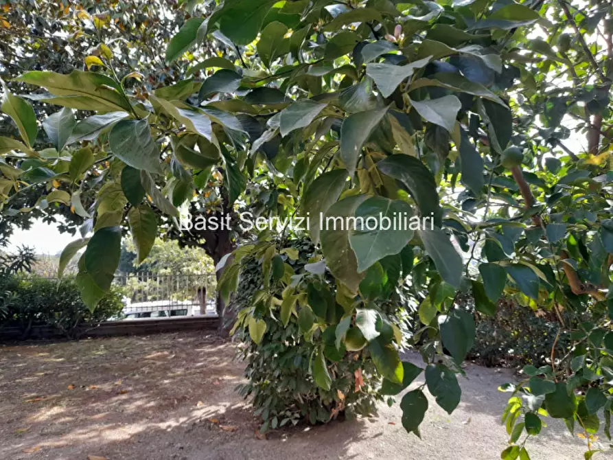 Immagine 14 di Appartamento in vendita  in Lrgo della Bitta a Roma