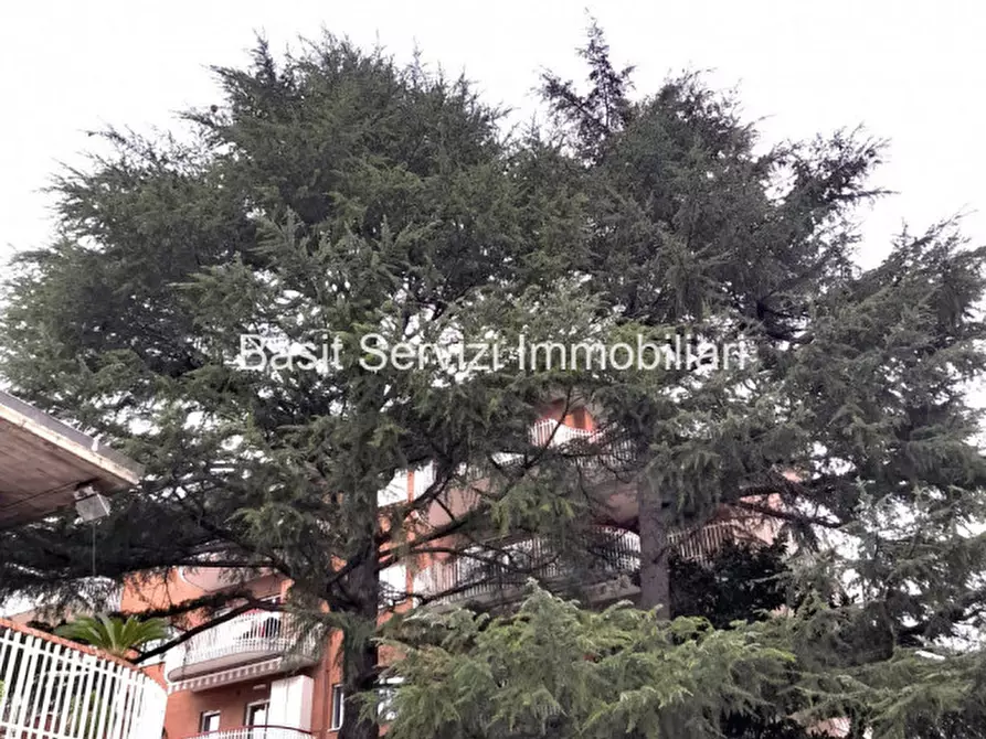 Immagine 4 di Appartamento in vendita  in Via Andrea del Verrocchio a Roma