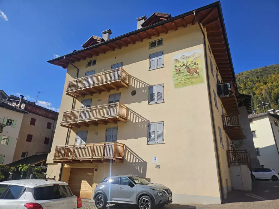 Immagine 1 di Appartamento in vendita  in Via Brescia, n.41 a Dimaro Folgarida