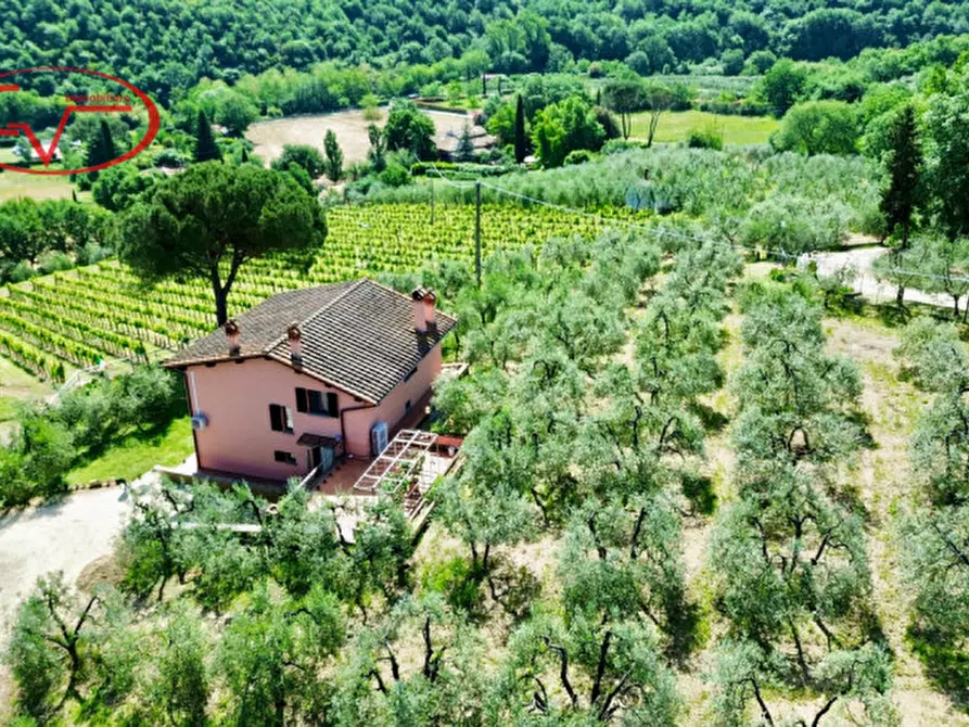 Immagine 4 di Villa in vendita  in Via di Nusenna a Montevarchi
