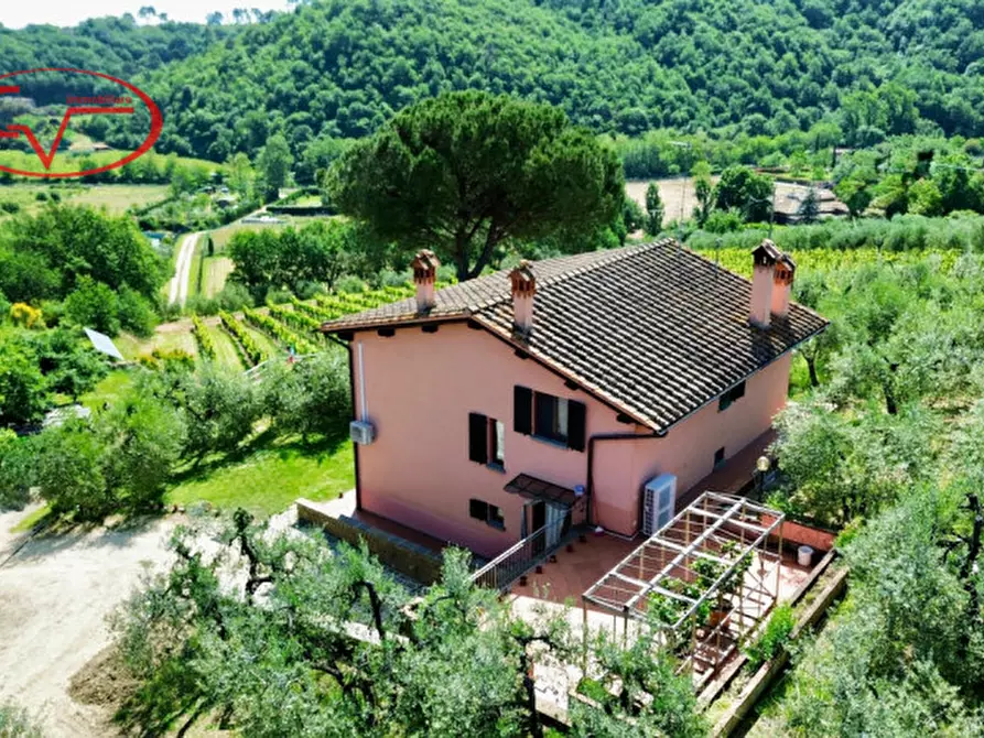 Immagine 8 di Villa in vendita  in Via di Nusenna a Montevarchi