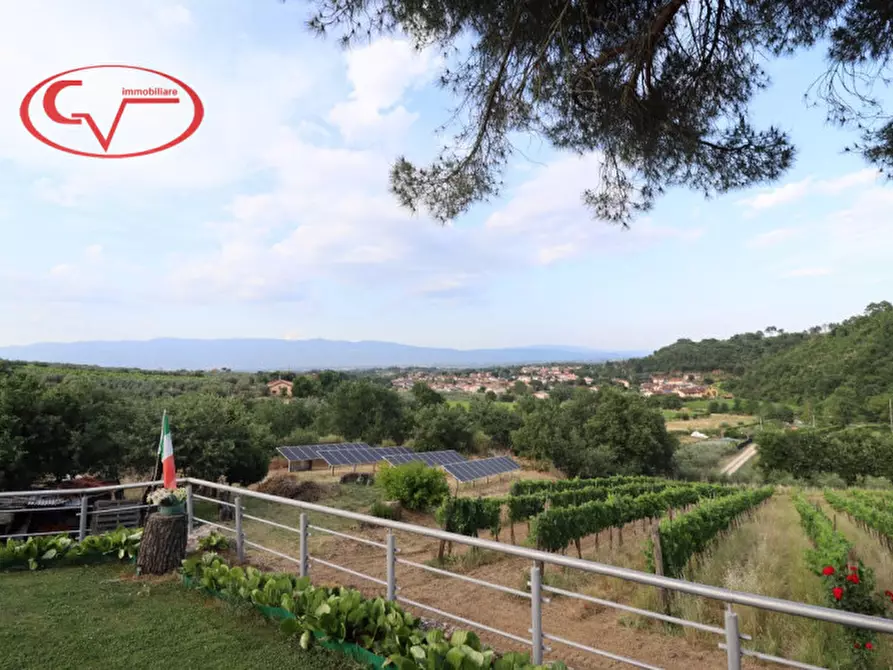 Immagine 11 di Villa in vendita  in Via di Nusenna a Montevarchi