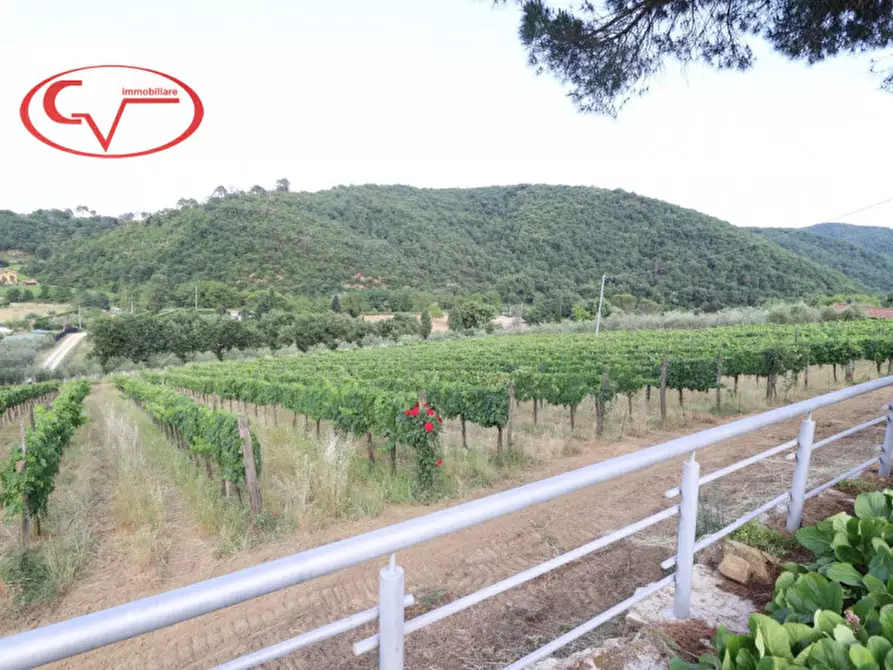 Immagine 16 di Villa in vendita  in Via di Nusenna a Montevarchi