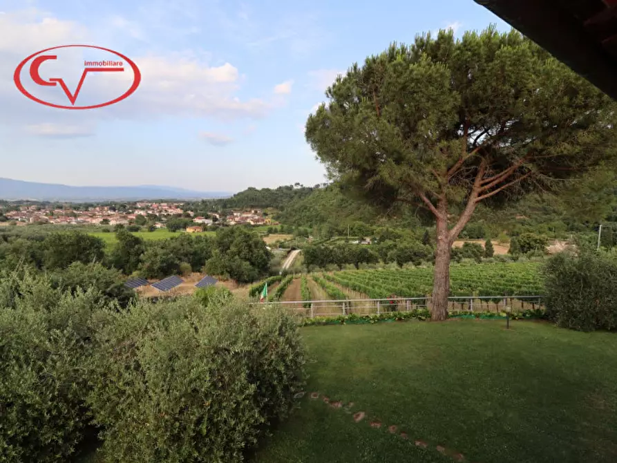 Immagine 17 di Villa in vendita  in Via di Nusenna a Montevarchi