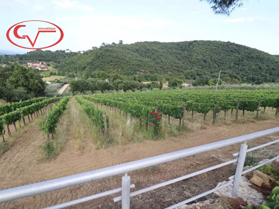 Immagine 18 di Villa in vendita  in Via di Nusenna a Montevarchi