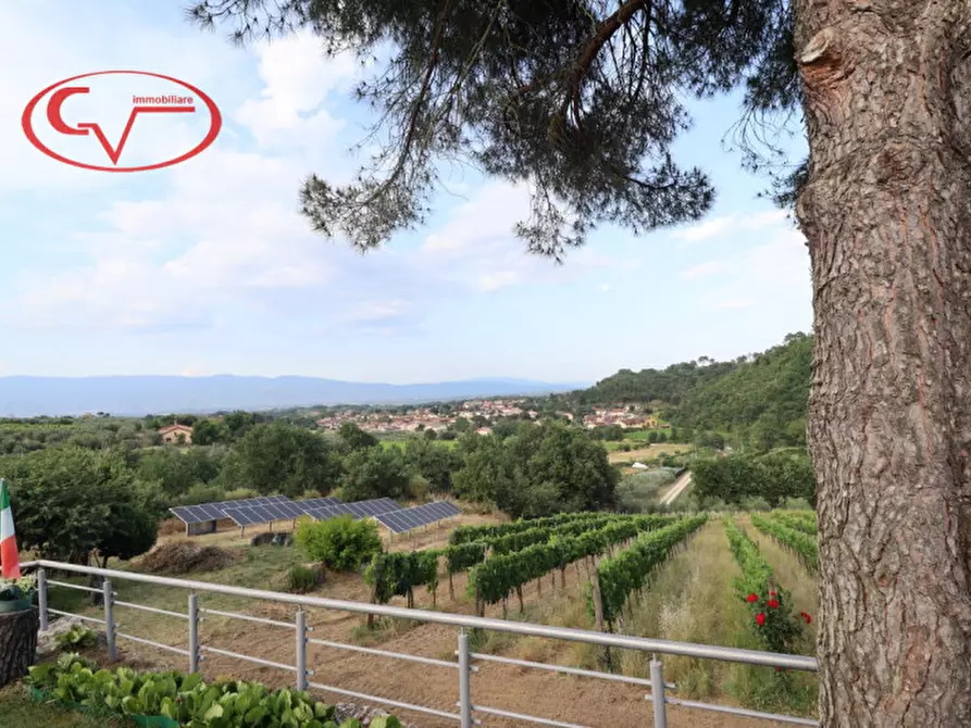 Immagine 19 di Villa in vendita  in Via di Nusenna a Montevarchi