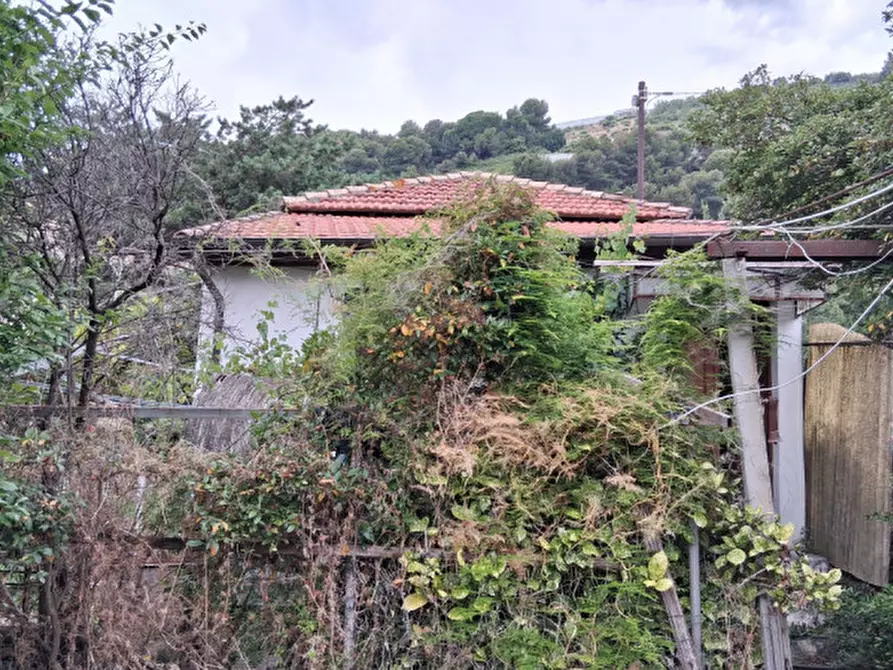 Immagine 12 di Casa indipendente in vendita  in Via Roma a Vallecrosia