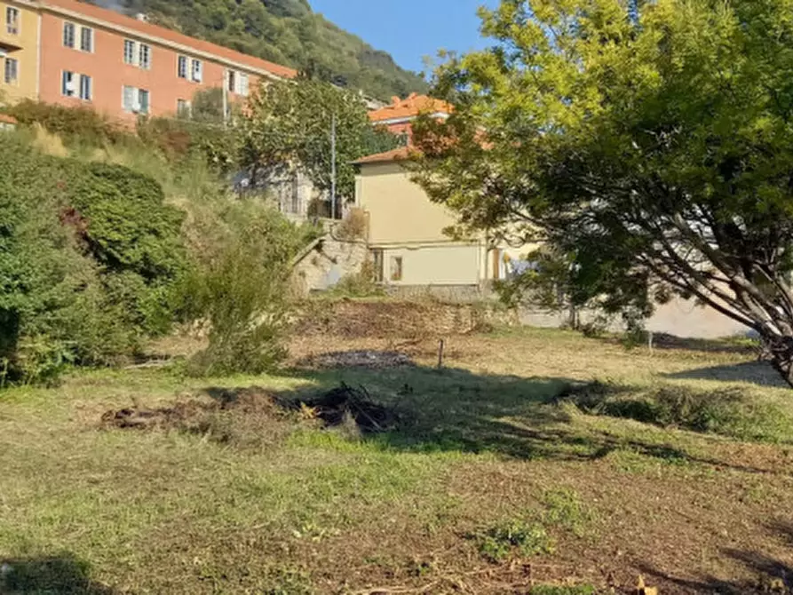 Immagine 15 di Casa indipendente in vendita  in Via Roma a Vallecrosia