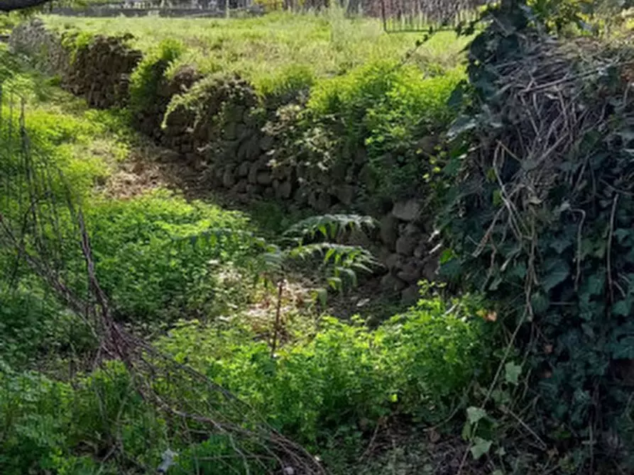 Immagine 17 di Casa indipendente in vendita  in Via Roma a Vallecrosia