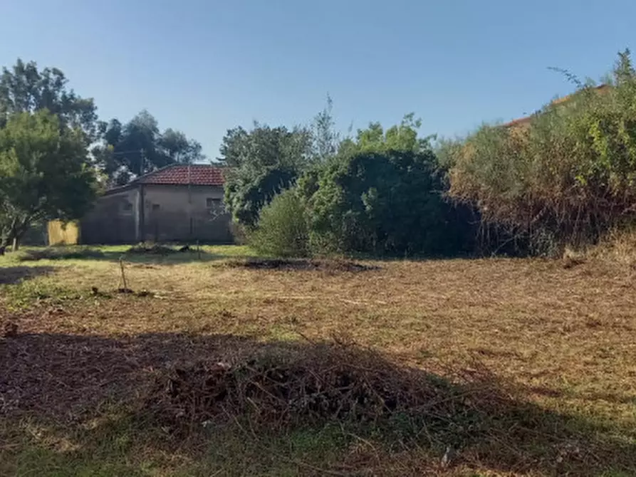 Immagine 20 di Casa indipendente in vendita  in Via Roma a Vallecrosia