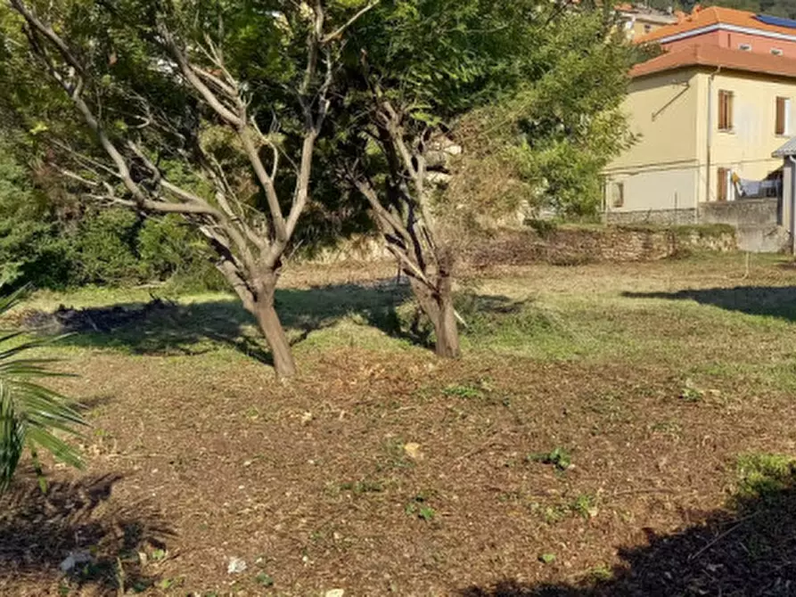 Immagine 21 di Casa indipendente in vendita  in Via Roma a Vallecrosia