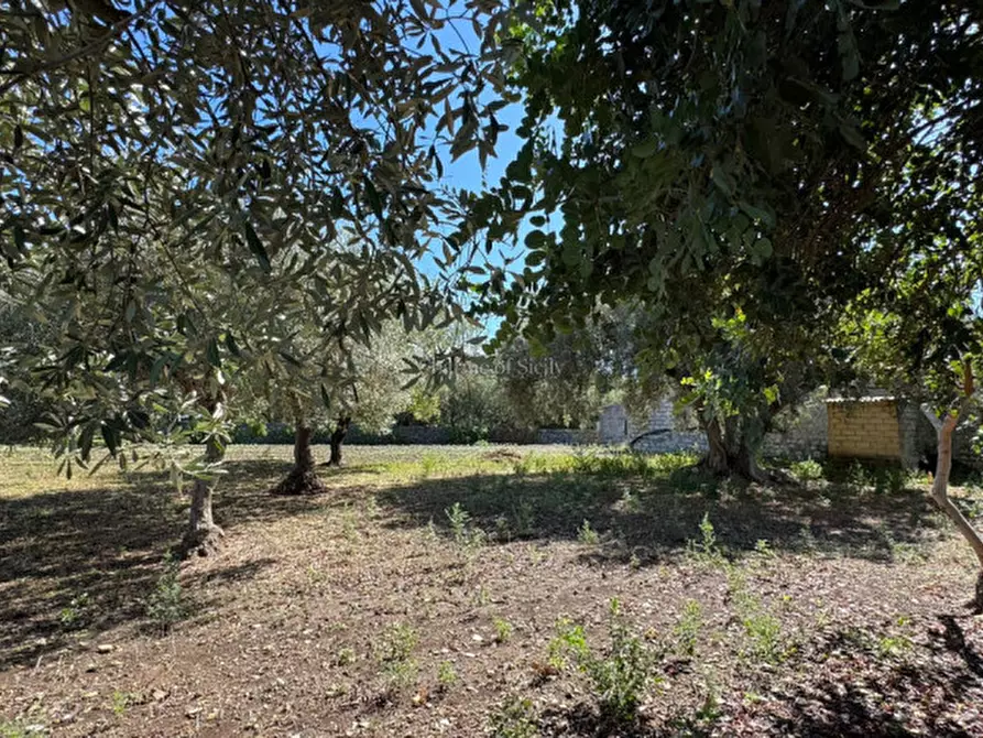 Immagine 63 di Rustico / casale in vendita  a Modica