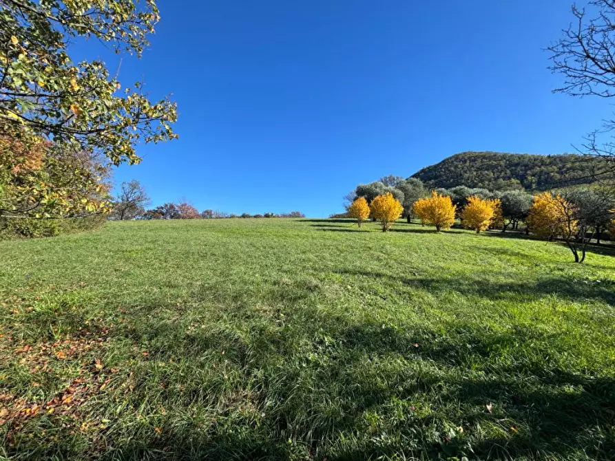 Immagine 14 di Villa in vendita  in Via Anconetta a Lozzo Atestino