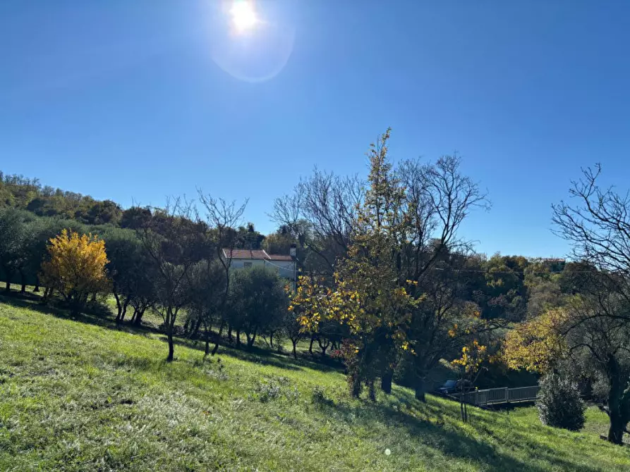 Immagine 16 di Villa in vendita  in Via Anconetta a Lozzo Atestino