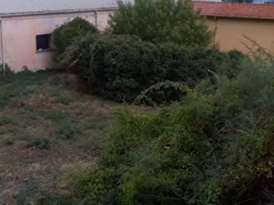 Immagine 2 di Terreno in vendita  in Via Orazio Raimondo a Vallecrosia