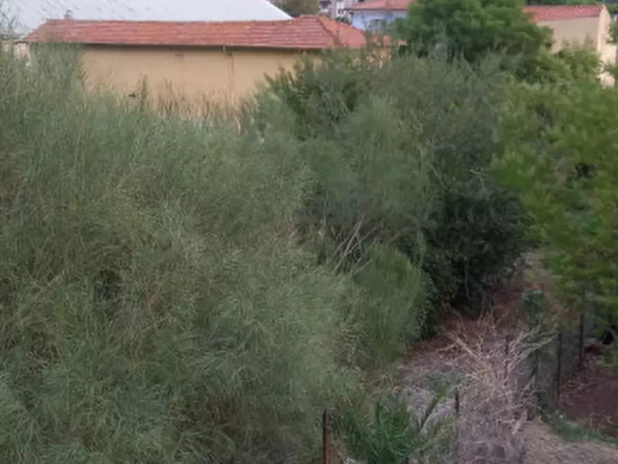 Immagine 3 di Terreno in vendita  in Via Orazio Raimondo a Vallecrosia