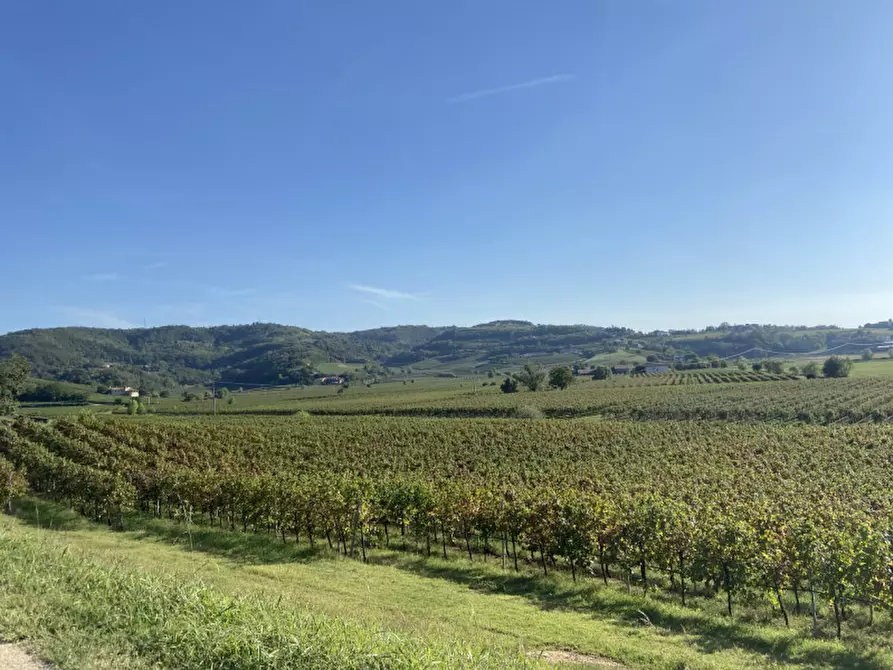 Immagine 1 di Capannone industriale in vendita  a Lonigo