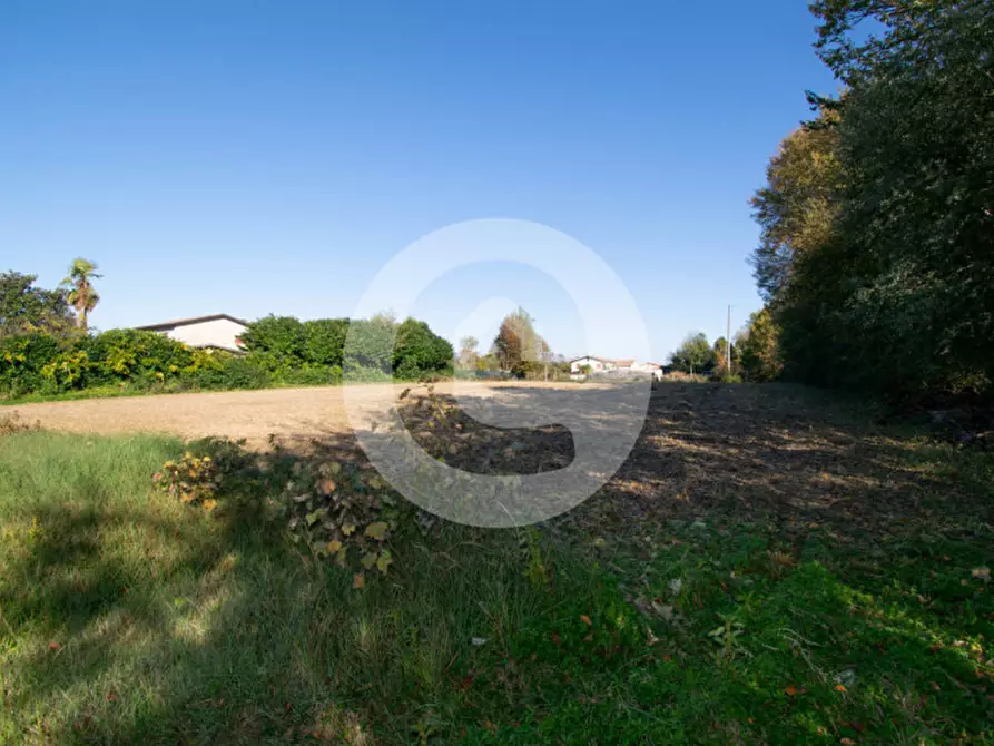 Immagine 4 di Casa indipendente in vendita  a Campodarsego