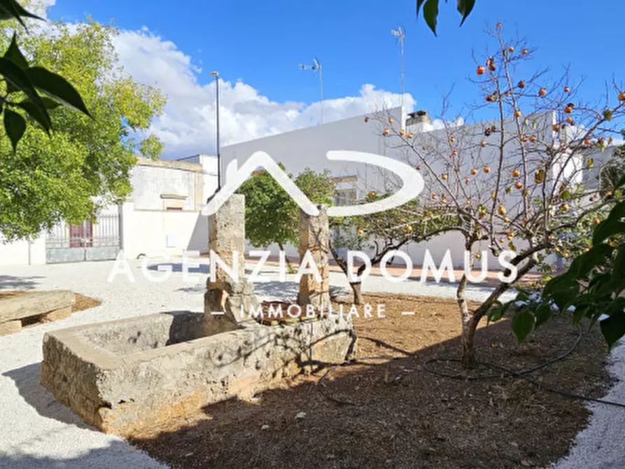 Immagine 6 di Casa indipendente in vendita  in VIA PISANELLI a Racale