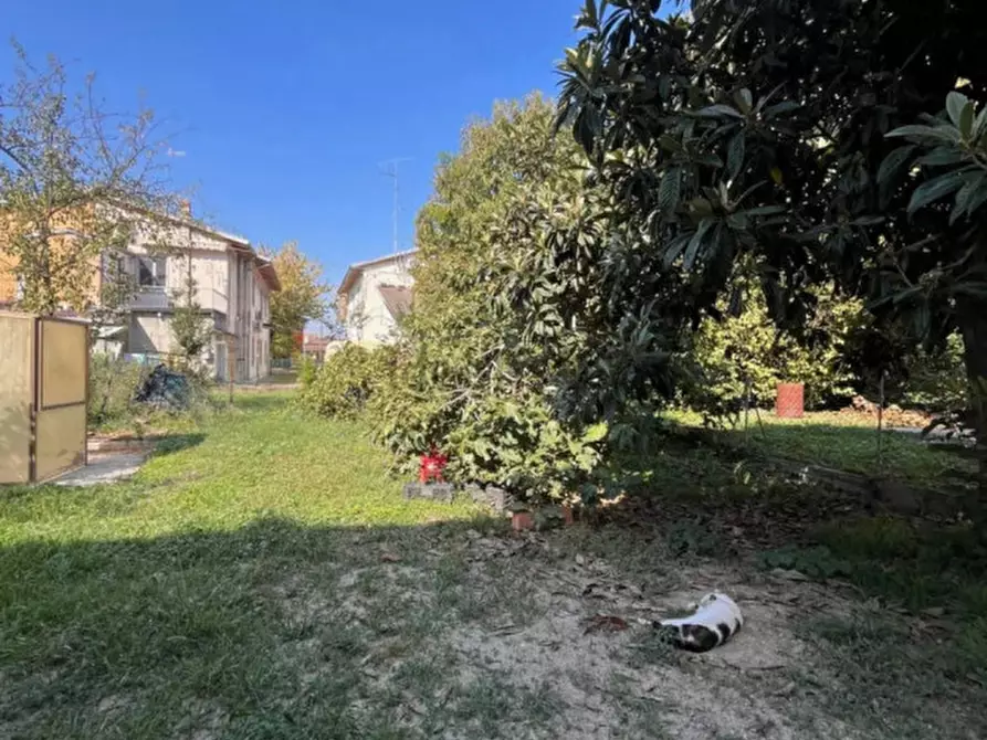 Immagine 17 di Casa bifamiliare in vendita  a Suzzara
