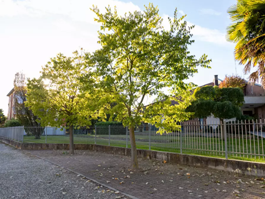 Immagine 70 di Villa in vendita  in Via Vittorio Emanuele Secondo 44 a Oviglio