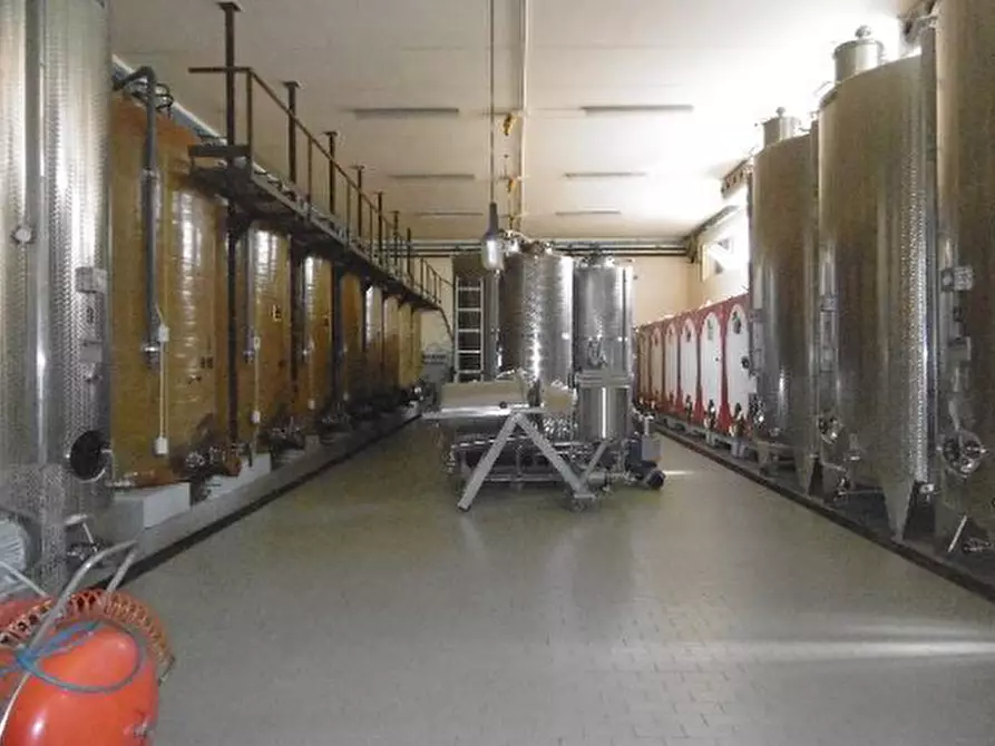 Immagine 34 di Capannone industriale in vendita  in Via Valle Mulini a Sommacampagna