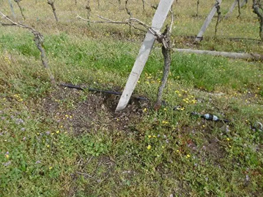Immagine 37 di Capannone industriale in vendita  in Via Valle Mulini a Sommacampagna