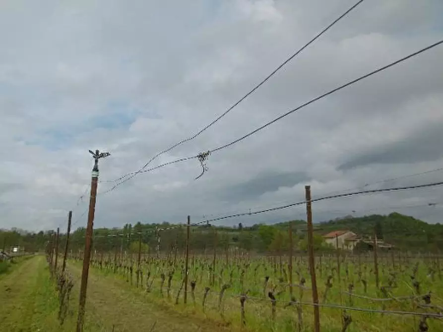 Immagine 38 di Capannone industriale in vendita  in Via Valle Mulini a Sommacampagna