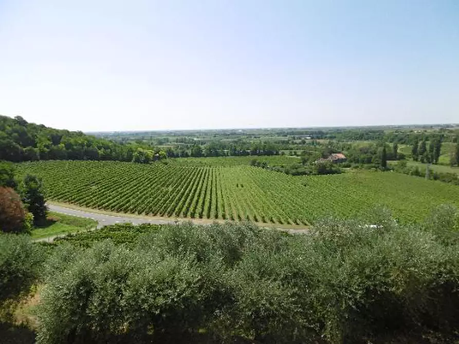 Immagine 39 di Capannone industriale in vendita  in Via Valle Mulini a Sommacampagna
