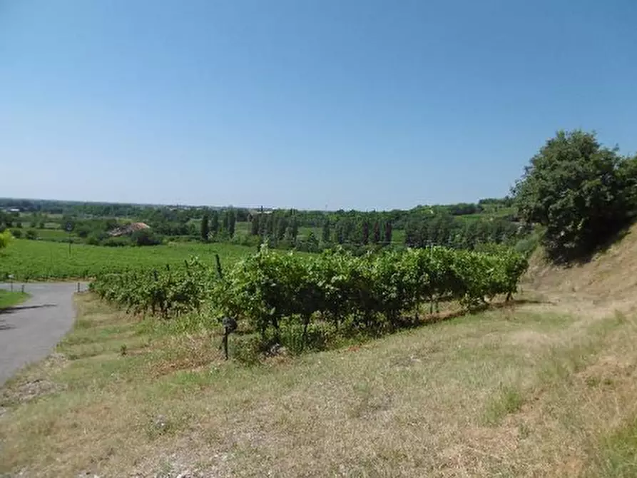 Immagine 40 di Capannone industriale in vendita  in Via Valle Mulini a Sommacampagna