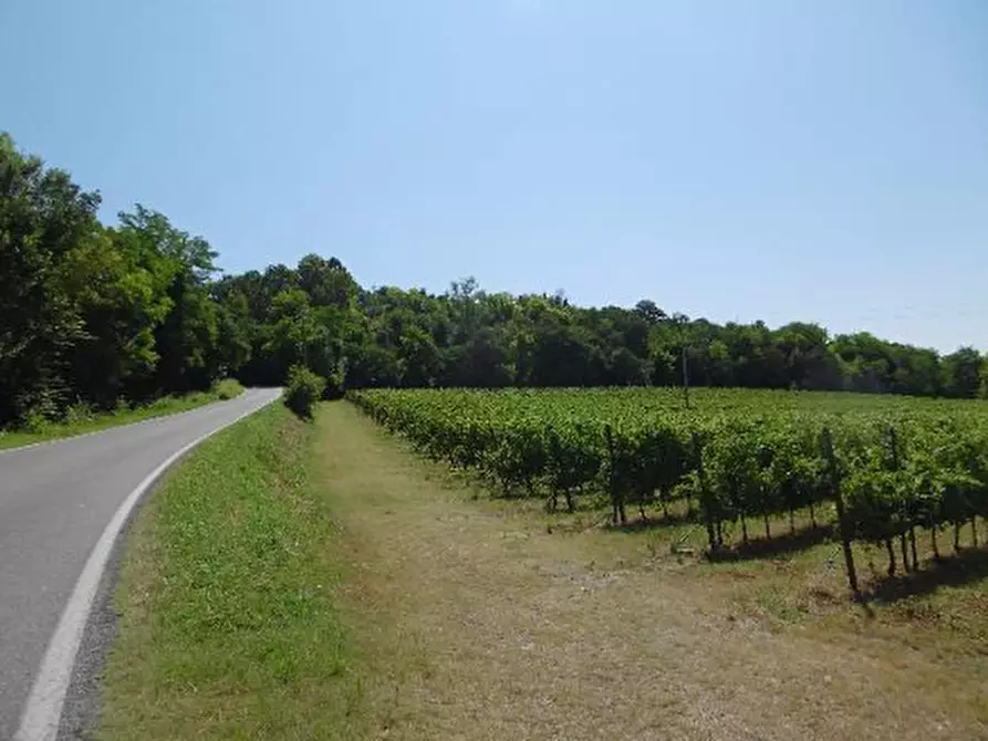 Immagine 41 di Capannone industriale in vendita  in Via Valle Mulini a Sommacampagna