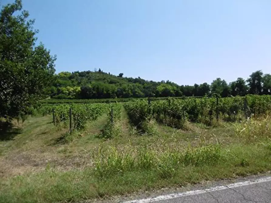Immagine 42 di Capannone industriale in vendita  in Via Valle Mulini a Sommacampagna