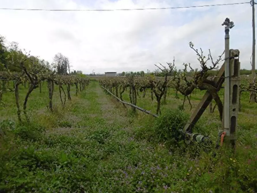 Immagine 43 di Capannone industriale in vendita  in Via Valle Mulini a Sommacampagna
