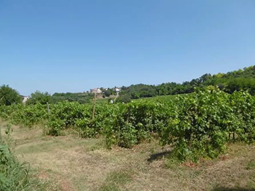 Immagine 44 di Capannone industriale in vendita  in Via Valle Mulini a Sommacampagna