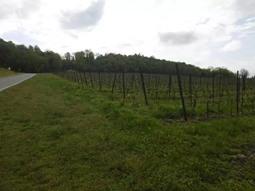 Immagine 45 di Capannone industriale in vendita  in Via Valle Mulini a Sommacampagna