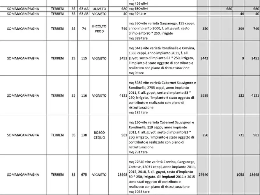 Immagine 49 di Capannone industriale in vendita  in Via Valle Mulini a Sommacampagna