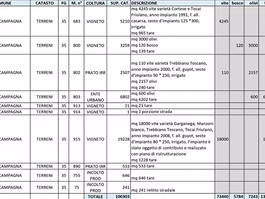 Immagine 50 di Capannone industriale in vendita  in Via Valle Mulini a Sommacampagna
