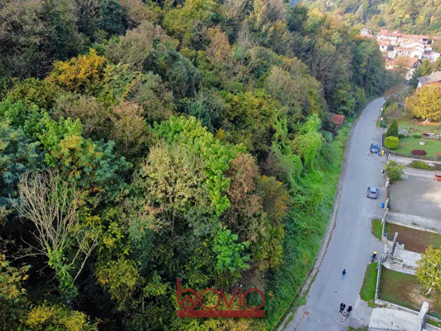 Immagine 4 di Terreno in vendita  in Strada Valle Massa SNC a Castiglione Torinese